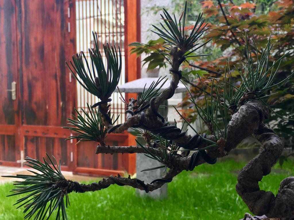 Bo Nan Homestay Dali  Esterno foto